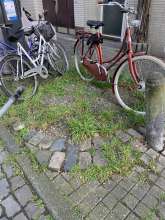 Bild zu gemeldetem Anliegen vom *2024-03-25 09:27:18