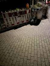Bild zu gemeldetem Anliegen vom *2024-03-14 21:13:06