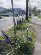 Bild zu gemeldetem Anliegen vom *2024-03-31 15:27:58