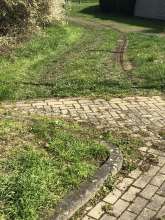 Bild zu gemeldetem Anliegen vom *2024-03-14 11:06:15