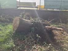 Bild zu gemeldetem Anliegen vom *2024-03-14 14:14:19