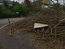 Bild zu gemeldetem Anliegen vom *2024-03-29 12:27:24
