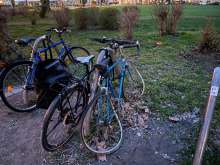 Bild zu gemeldetem Anliegen vom *2024-03-07 14:56:11