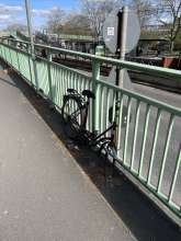 Bild zu gemeldetem Anliegen vom *2024-03-25 14:07:20