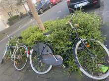 Bild zu gemeldetem Anliegen vom *2024-03-25 16:37:23