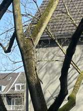 Bild zu gemeldetem Anliegen vom *2024-03-06 10:10:10