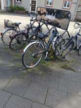 Bild zu gemeldetem Anliegen vom *2024-04-06 12:32:59