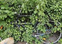 Bild zu gemeldetem Anliegen vom *2024-04-09 18:27:41