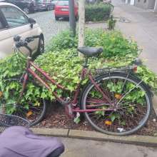 Bild zu gemeldetem Anliegen vom *2024-04-13 15:27:29