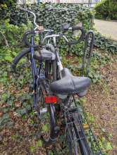 Bild zu gemeldetem Anliegen vom *2024-04-09 18:27:41