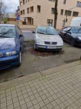 Bild zu gemeldetem Anliegen vom *2024-04-02 11:32:38