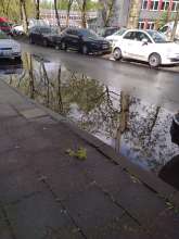 Bild zu gemeldetem Anliegen vom *2024-04-20 13:07:57