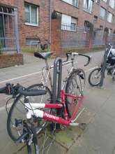 Bild zu gemeldetem Anliegen vom *2024-04-01 15:51:51