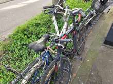 Bild zu gemeldetem Anliegen vom *2024-04-14 09:28:02