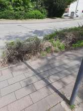 Bild zu gemeldetem Anliegen vom *2024-04-22 14:27:32