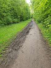 Bild zu gemeldetem Anliegen vom *2024-04-24 06:27:58