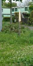 Bild zu gemeldetem Anliegen vom *2024-04-26 09:20:59
