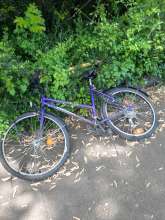 Bild zu gemeldetem Anliegen vom *2024-04-30 13:35:08