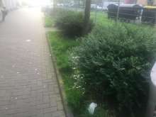 Bild zu gemeldetem Anliegen vom *2024-04-25 01:50:21