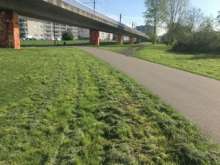 Bild zu gemeldetem Anliegen vom *2024-04-06 10:30:50
