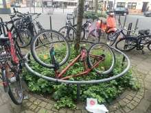 Bild zu gemeldetem Anliegen vom *2024-04-25 17:51:59