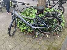 Bild zu gemeldetem Anliegen vom *2024-04-13 23:32:58