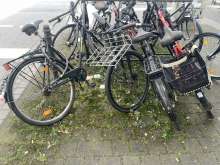 Bild zu gemeldetem Anliegen vom *2024-04-13 23:35:46