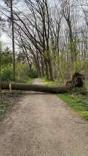 Bild zu gemeldetem Anliegen vom *2024-04-05 18:27:30