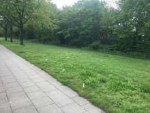 Bild zu gemeldetem Anliegen vom *2024-04-26 22:29:06
