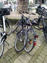 Bild zu gemeldetem Anliegen vom *2024-04-10 10:44:07