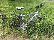 Bild zu gemeldetem Anliegen vom *2024-04-25 17:53:36