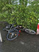 Bild zu gemeldetem Anliegen vom *2024-04-04 18:27:18