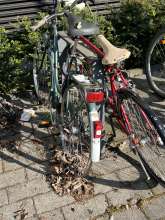 Bild zu gemeldetem Anliegen vom *2024-04-23 06:27:57