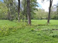 Bild zu gemeldetem Anliegen vom *2024-04-18 11:45:52