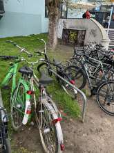 Bild zu gemeldetem Anliegen vom *2024-04-02 14:21:07