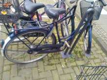 Bild zu gemeldetem Anliegen vom *2024-04-11 18:27:19