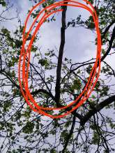 Bild zu gemeldetem Anliegen vom *2024-04-17 13:48:48