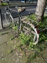 Bild zu gemeldetem Anliegen vom *2024-04-10 15:27:12