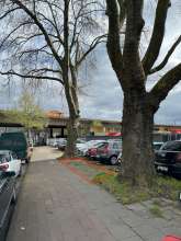 Bild zu gemeldetem Anliegen vom *2024-04-02 09:27:59