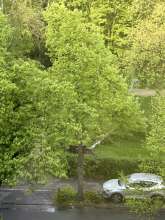 Bild zu gemeldetem Anliegen vom *2024-04-15 19:16:25