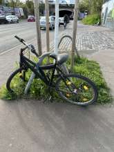 Bild zu gemeldetem Anliegen vom *2024-04-11 15:27:32