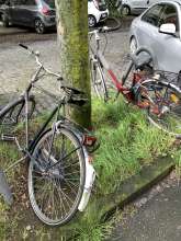 Bild zu gemeldetem Anliegen vom *2024-04-17 16:00:56