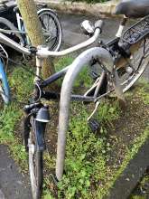 Bild zu gemeldetem Anliegen vom *2024-04-19 17:50:22