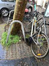 Bild zu gemeldetem Anliegen vom *2024-04-19 18:38:45