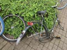 Bild zu gemeldetem Anliegen vom *2024-04-09 15:27:40