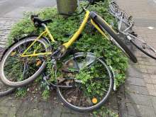 Bild zu gemeldetem Anliegen vom *2024-04-09 15:40:34