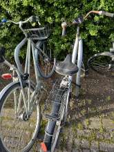 Bild zu gemeldetem Anliegen vom *2024-04-08 18:27:33