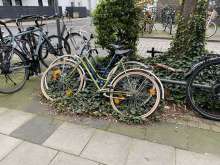 Bild zu gemeldetem Anliegen vom *2024-04-02 21:27:41