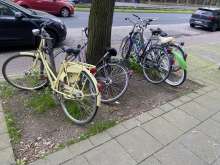 Bild zu gemeldetem Anliegen vom *2024-04-07 09:27:09