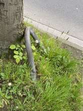 Bild zu gemeldetem Anliegen vom *2024-04-11 06:27:33